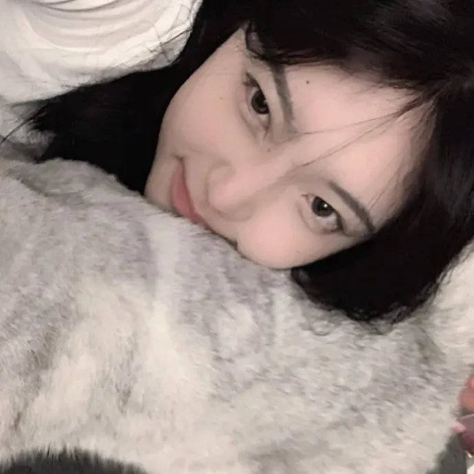 笨贼龙虎榜